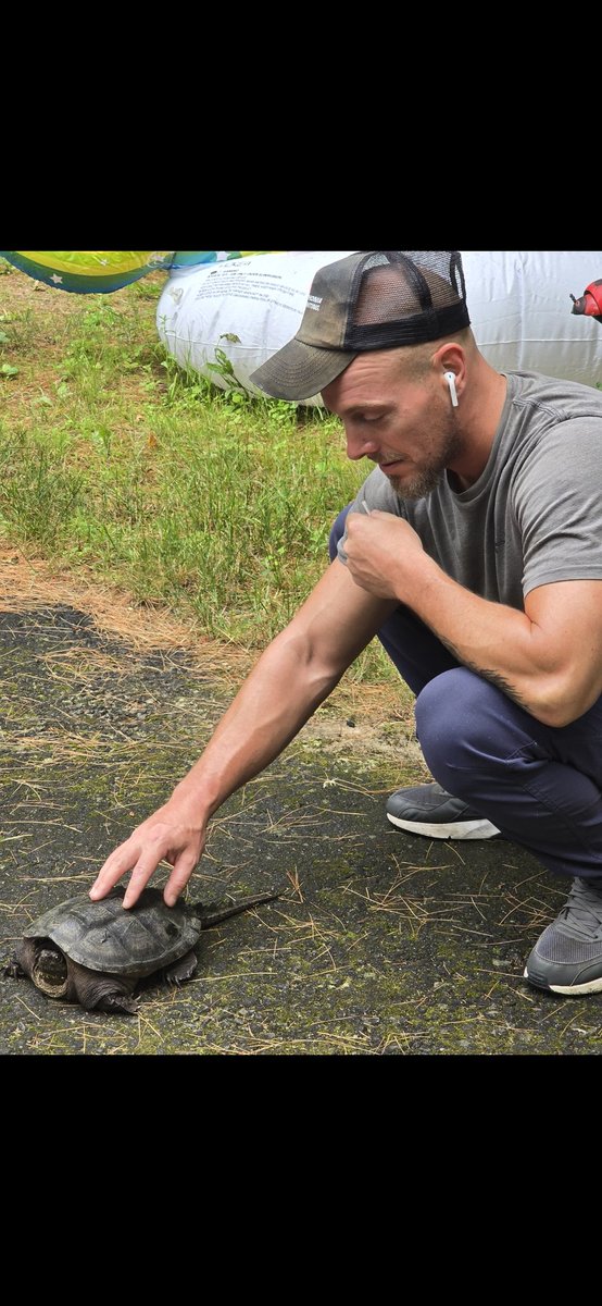 Snaping turtle in Maine.