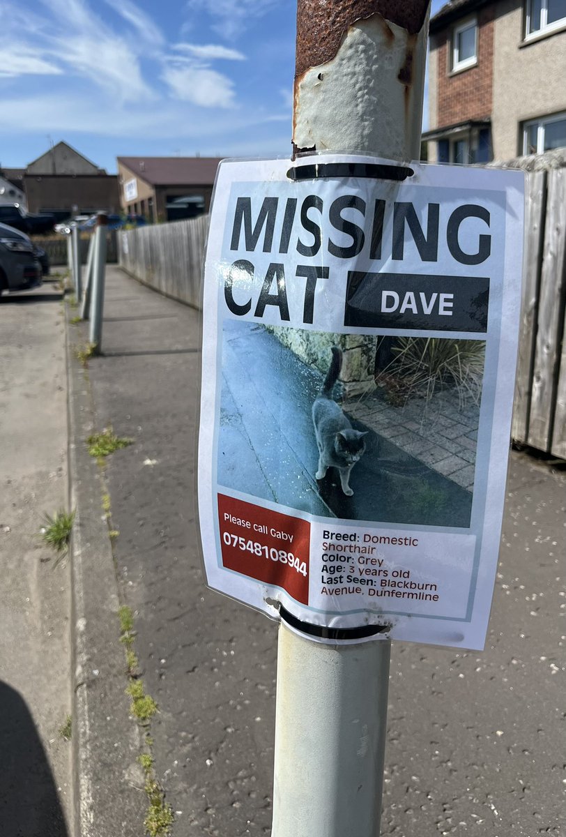 There is a cat missing in the Baldridgeburn area of Dunfermline. This is sad, but I love the fact he is called “Dave”. Please find Dave. 🐯