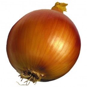 bu soğan senden daha çok beğeni alacak