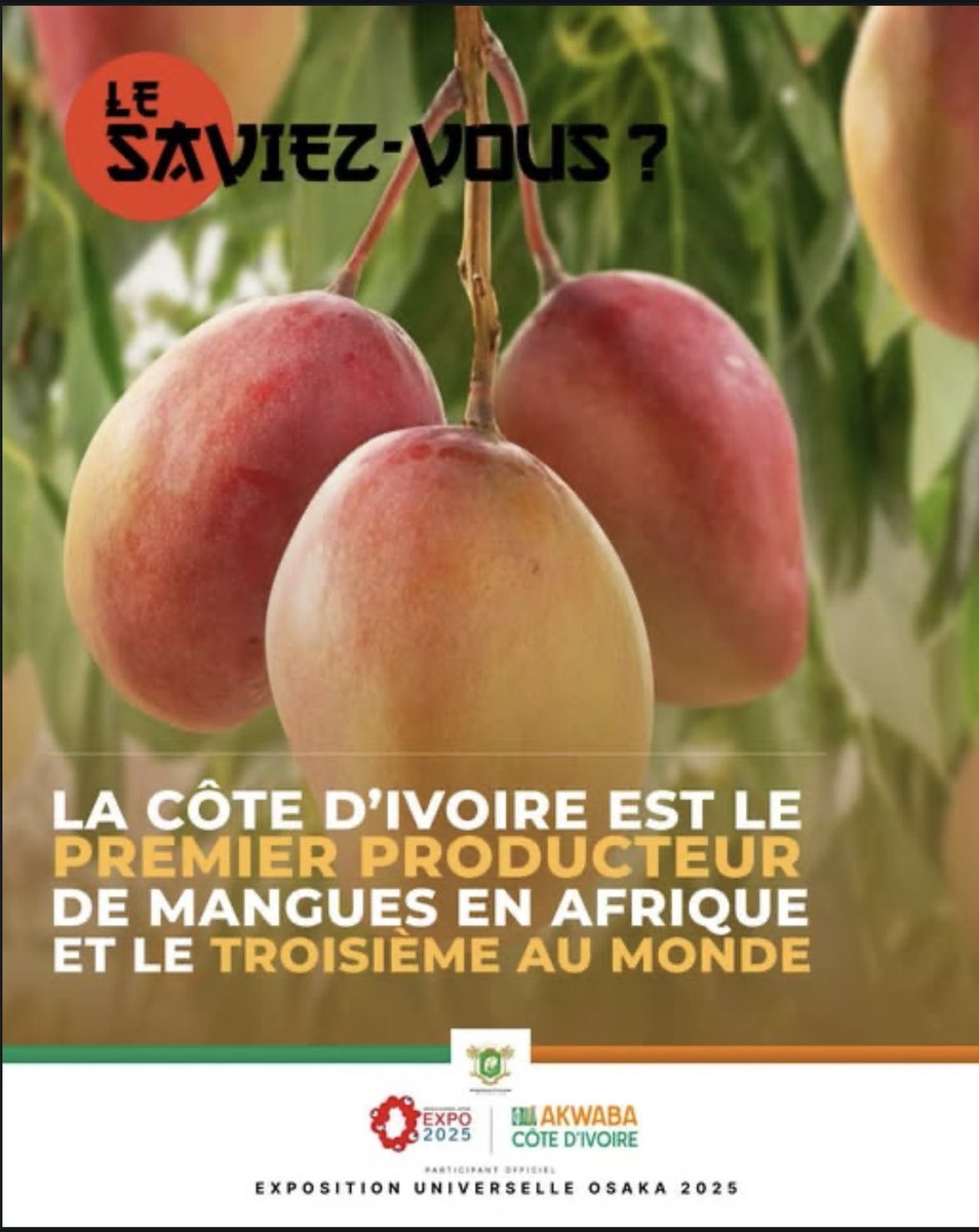 La Côte d’Ivoire, 3e producteur mondial de mangue et 1er en Afrique

À l’Expo 2025 Osaka, la mangue ivoirienne s’affiche fièrement comme un emblème agricole national. Réputée pour sa qualité, sa douceur et sa traçabilité, elle illustre la réussite d’une filière en plein essor.