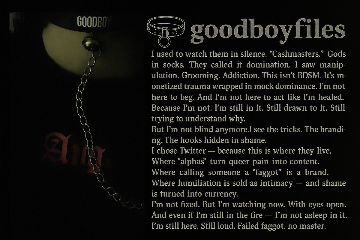 goodboyfiles tweet media