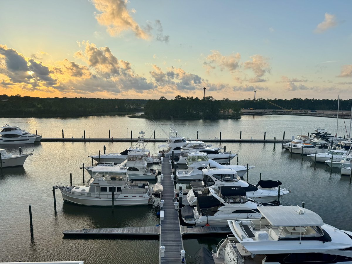 Alan Floyd tweet media