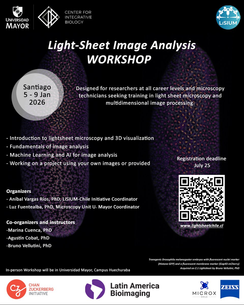 CIBumayor's tweet image. 🔬🔬📷Free Workshop: Light-Sheet Image Analysis Workshop
Las inscripciones aún estan abiertas!
Deadline: 25 Julio
@LatamBioimaging
Mas información y becas aquí!👇📷 lightsheetchile.cl/es/light-sheet…