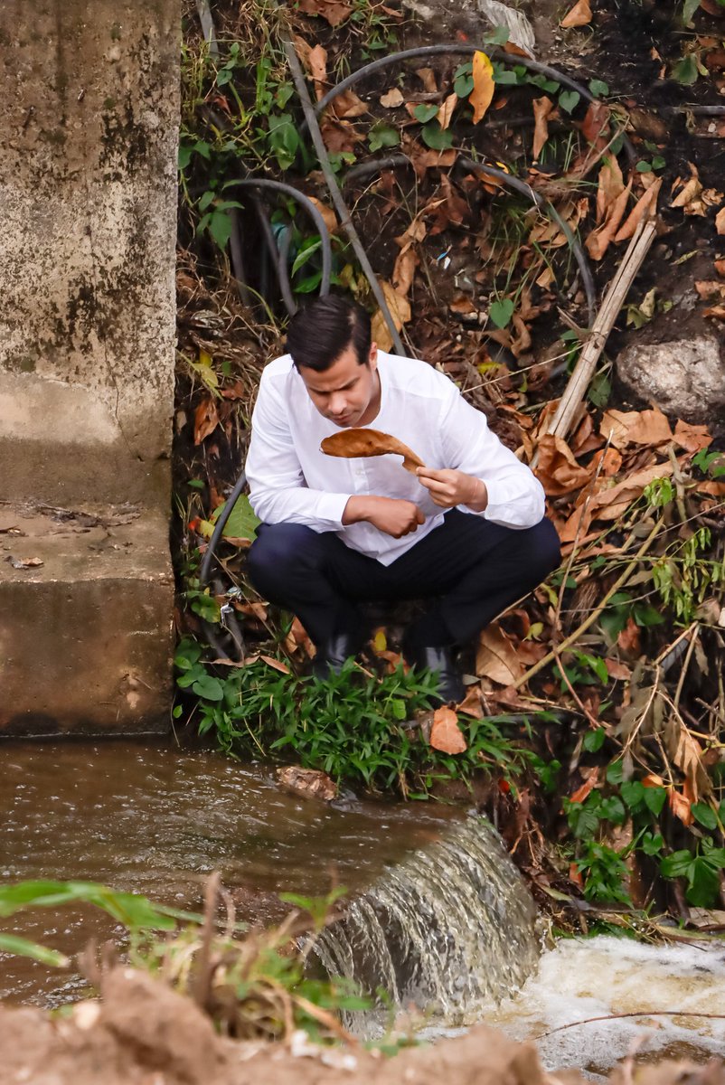 PMA Veracruz tweet media