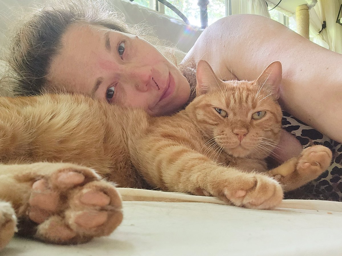 __Granuaile__'s tweet photo. Idk what i would do without my kitties to get me through my days.
I am so grateful for them ❤️ 
Loki, especially, rarely leaves my side.  He give the best kitty cuddles.  
#feraltofamily #LokiCat #RagnarCat #RescueCat https://t.co/9fy40QC6q6