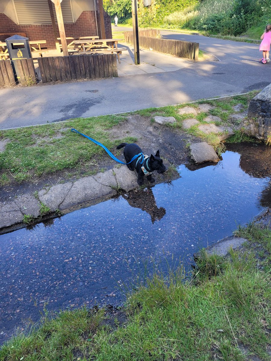 It's still warm
I tried emptying this river.
🐾💛