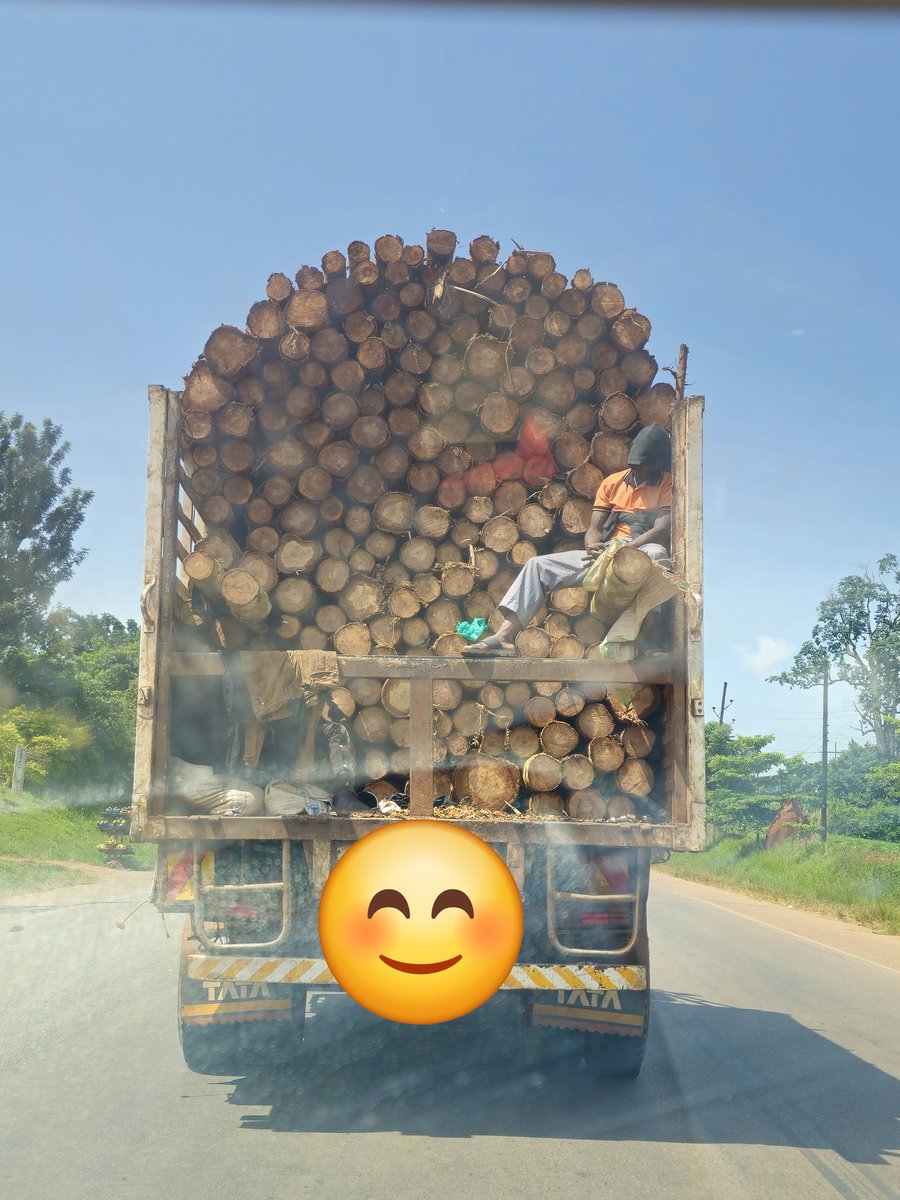 To sleep or not to sleep

#Espied on the road