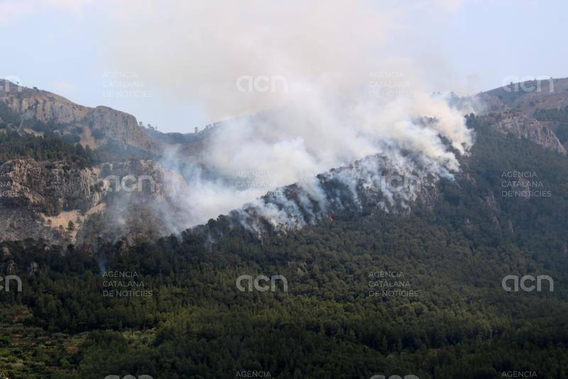 Els Bombers veuen una "evolució favorable" del foc de Paüls i treballen amb l'objectiu d'estabilitzar-lo durant la nit. El cos d'extinció ha aconseguit evitar que les flames entrin al parc dels Ports, d'un foc que afecta 3.200 hectàrees.

bit.ly/3Gd8YZ6