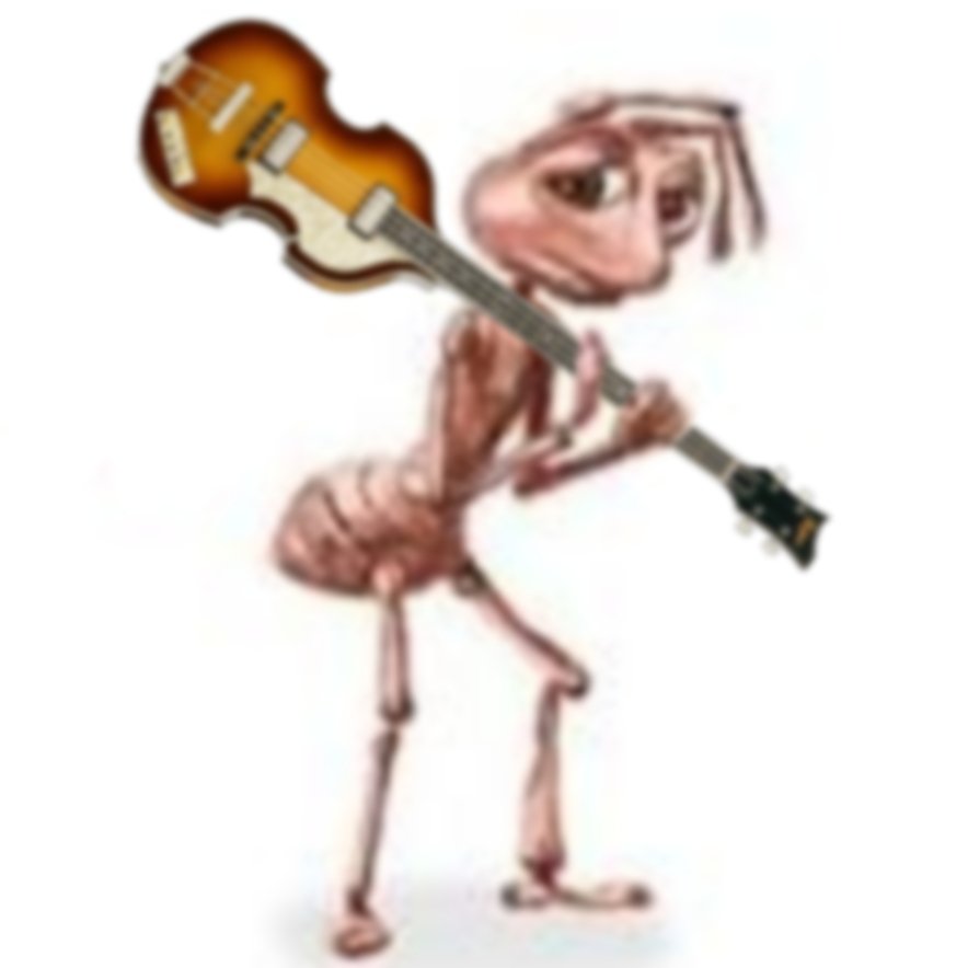 GUCCIJUMPSUlT's tweet image. vou passar o resto da minha vida pensando que o nome do contato do paul no celular do ringo é "mac macca" 🥺