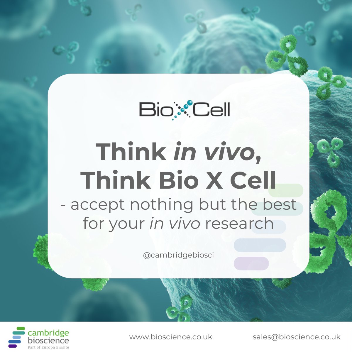 Cambridge Bioscience (@cambridgebiosci) on Twitter photo Think in vivo, Think <a href="/invivoantibody/">Bio X Cell</a> - accept nothing but the best for your #invivo research.
They are the global leader for in vivo #antibodies with >25,000 peer-reviewed citations! 🎉
For a limited time, receive 20% off your first Bio X Cell order 👉
f.mtr.cool/iduneeutej Think in vivo, Think <a href="/invivoantibody/">Bio X Cell</a> - accept nothing but the best for your #invivo research.
They are the global leader for in vivo #antibodies with >25,000 peer-reviewed citations! 🎉
For a limited time, receive 20% off your first Bio X Cell order 👉
f.mtr.cool/iduneeutej