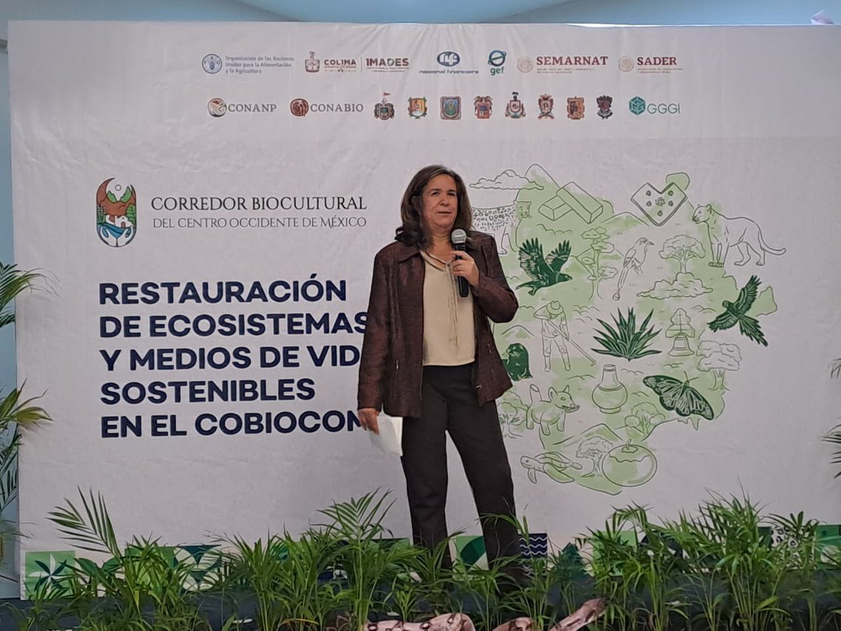 Hoy se lanza el proyecto GEF: “Restauración de Ecosistemas y Medios de Vida Sostenibles en el #COBIOCOM”, una alianza sin precedentes entre 8 estados de México, instituciones y comunidades para restaurar 150,000 hectáreas y transformar los medios de vida rurales.