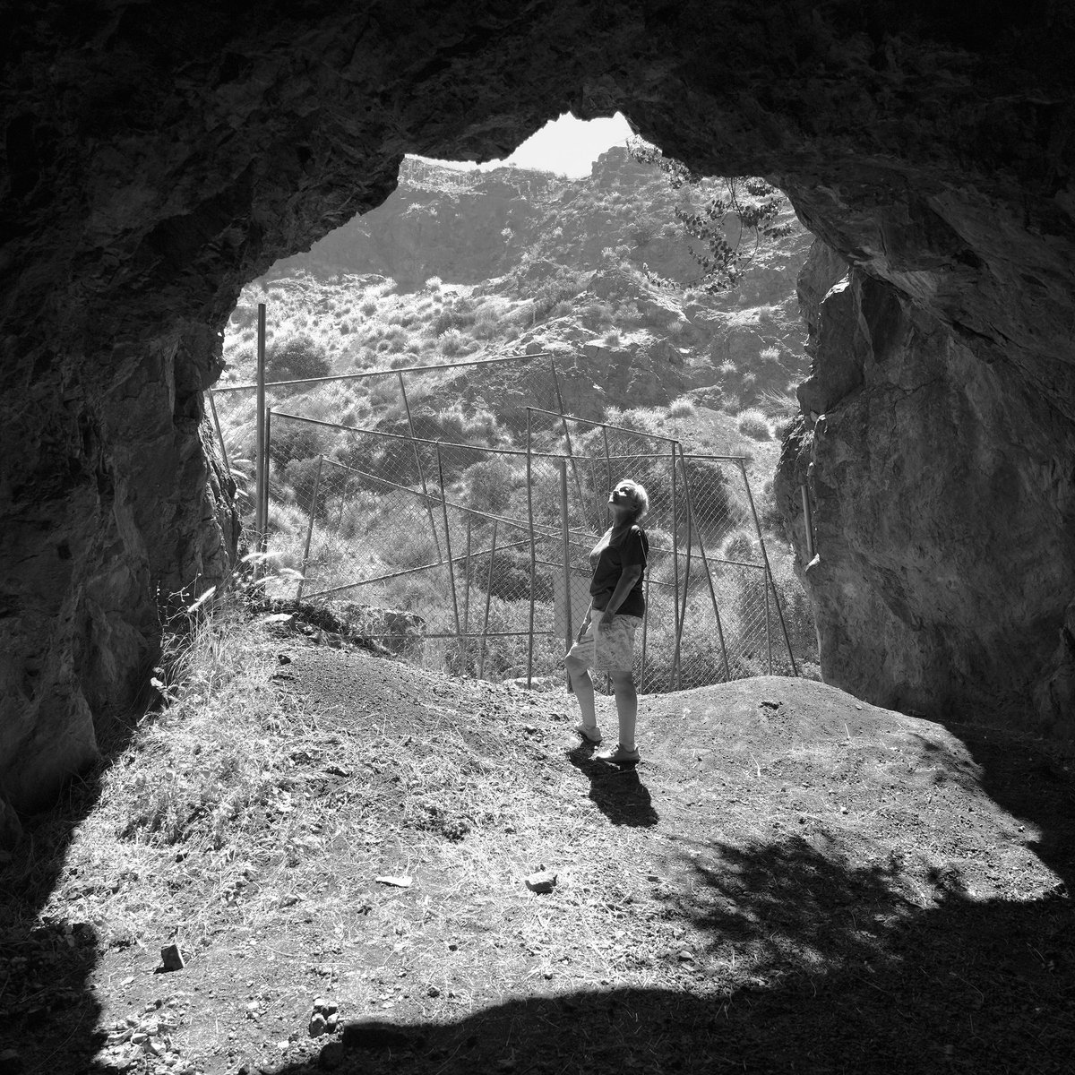 judypancoast (@judypancoast) on Twitter photo The Batcave in LA is also the spot used in many horror movies. My favorite is the original Invasion of the Body Snatchers. This is the cave where Miles leaves Becky and begs her not to fall asleep, and that’s me on the right. #MutantFam <a href="/therealjoebob/">Joe Bob Briggs</a> <a href="/kinky_horror/">Diana “Darcy the Mail Girl” Prince 🤠💌</a> <a href="/TheMutantFam/">The Mutant Fam</a> The Batcave in LA is also the spot used in many horror movies. My favorite is the original Invasion of the Body Snatchers. This is the cave where Miles leaves Becky and begs her not to fall asleep, and that’s me on the right. #MutantFam <a href="/therealjoebob/">Joe Bob Briggs</a> <a href="/kinky_horror/">Diana “Darcy the Mail Girl” Prince 🤠💌</a> <a href="/TheMutantFam/">The Mutant Fam</a>