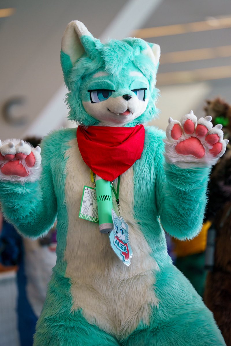alexboops's tweet image. bye for now AC 💚