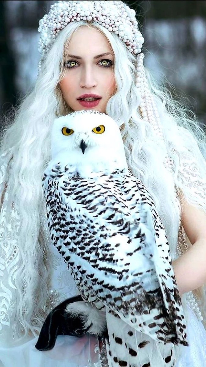 Goodnight
Always love seeing your
beautiful souls have
love and happiness
Brightest Blessings❤️✨