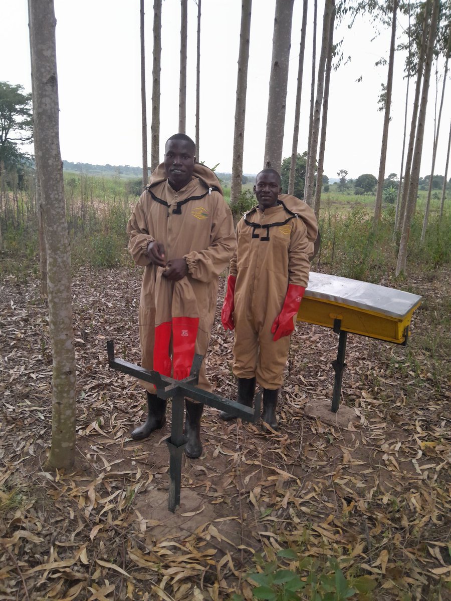 iwandera06's tweet photo. In every job that must be done, there is an element of fun. You find the fun and snap! The job is a game! @TUNADO_Bees @ https://t.co/Je2XYIoAO0 @BeesForDev #EnvironmentalProtection https://t.co/ZLxQzHytEo
