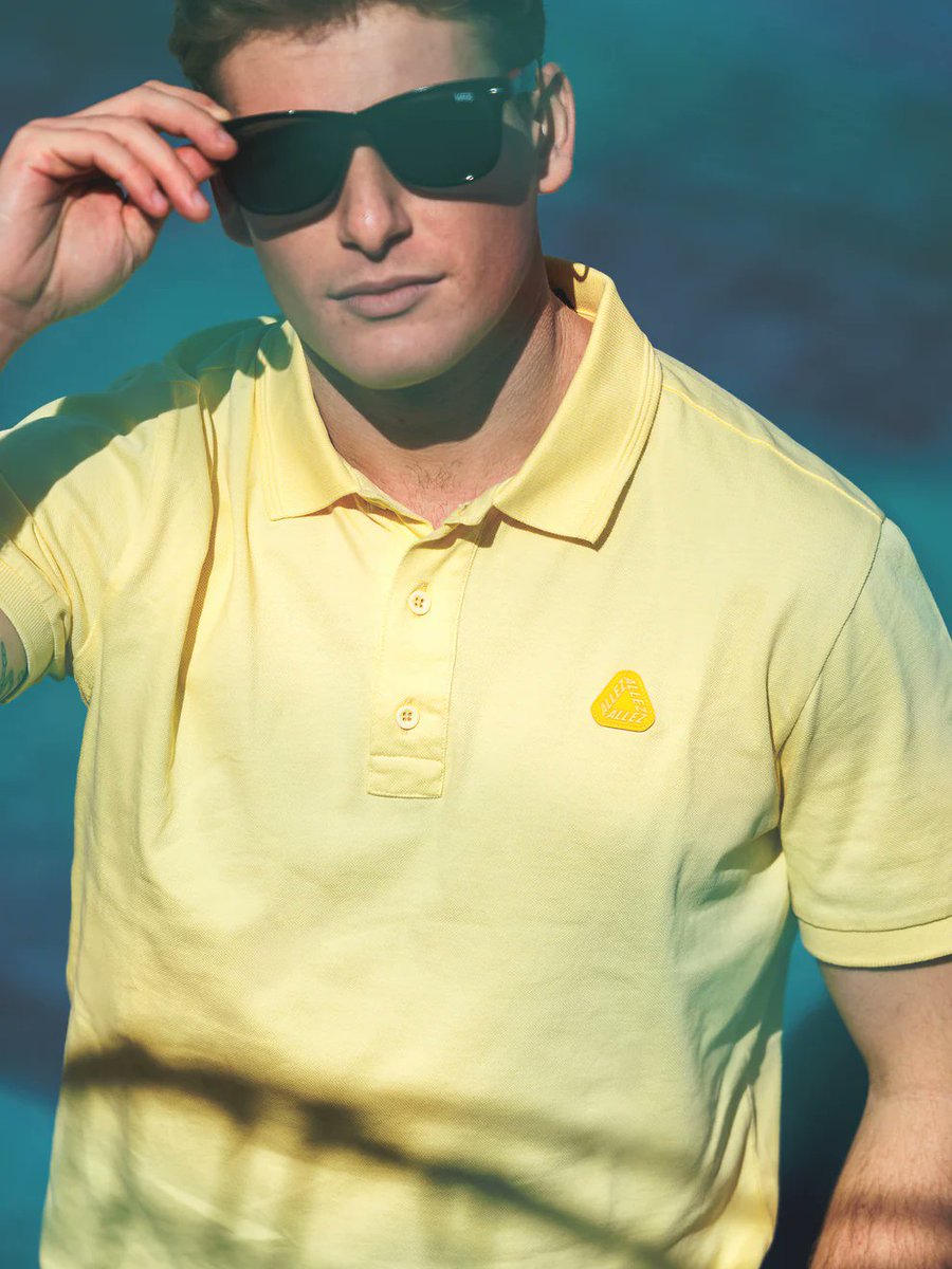 Thijs Zonneveld tweet media