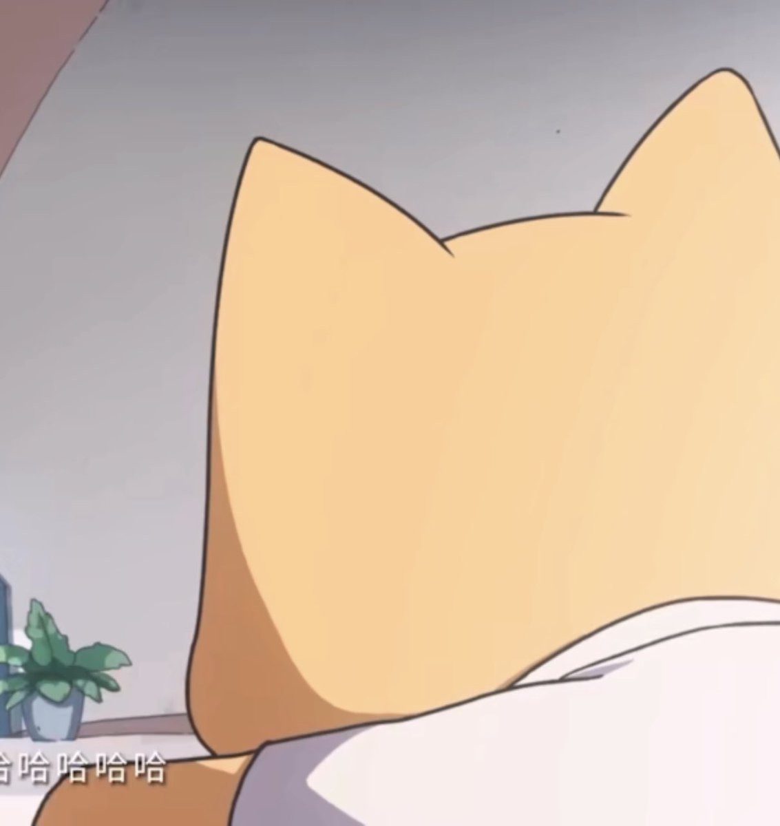 二狗不管什么时候都很可爱，爱你一万年。