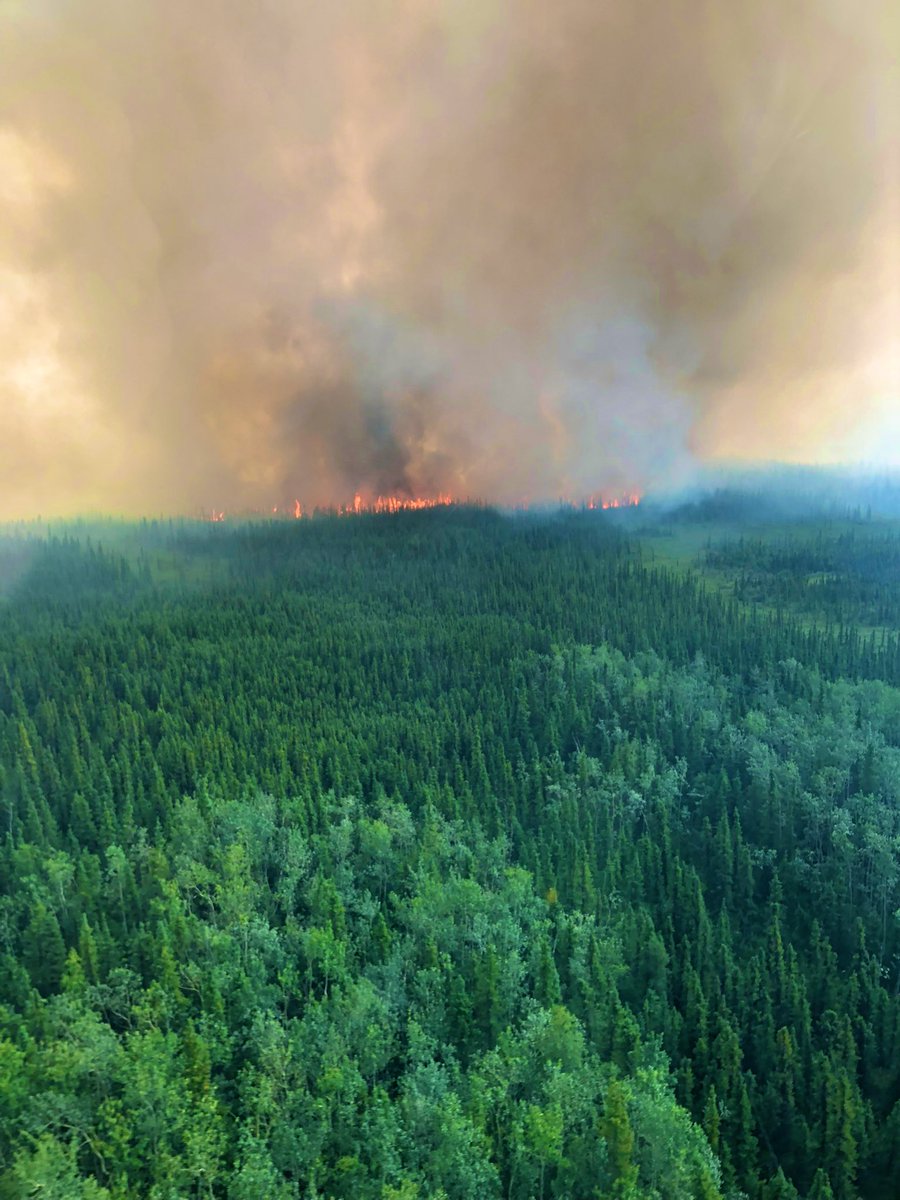 West side of Bear Creek from my operations recon flight. Fire is being pushed by the wind and available fuels and has continued to move out to the west in Div D but poses no threat to any communities or  infrastructure.