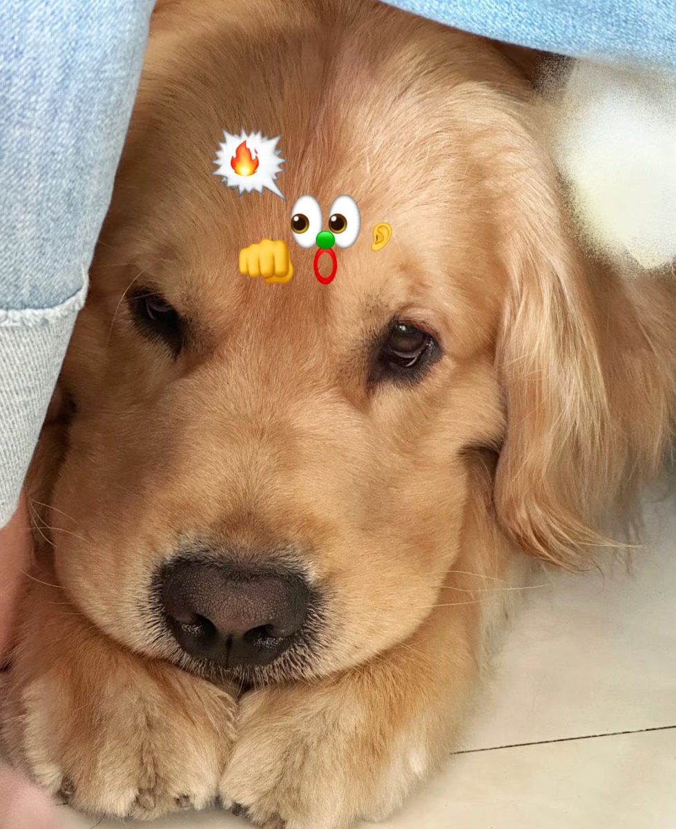 twaniimals's tweet photo. https://t.co/VqvxndQpim