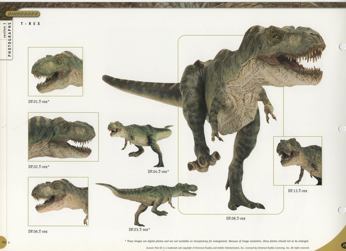Revisiting some files in my computer i didn't know i had.

#jurassicpark 3 rex maquette, pictures used in the promotional material.
Cool little detail, his arms have stripes unlike Buck, and his colors are less saturated and the stripes more uniformly shaped.