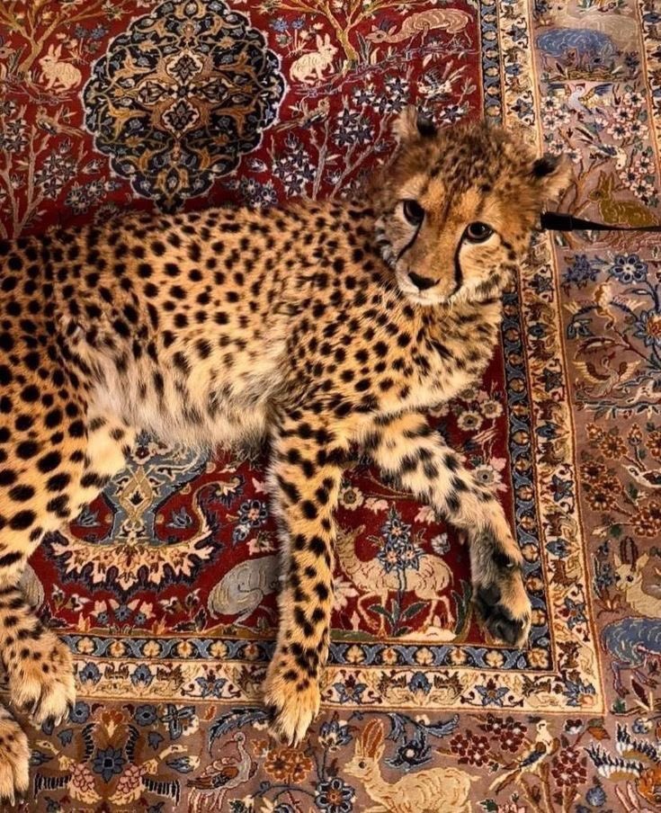 بحر 🌊 (@butterflless) on Twitter photo 