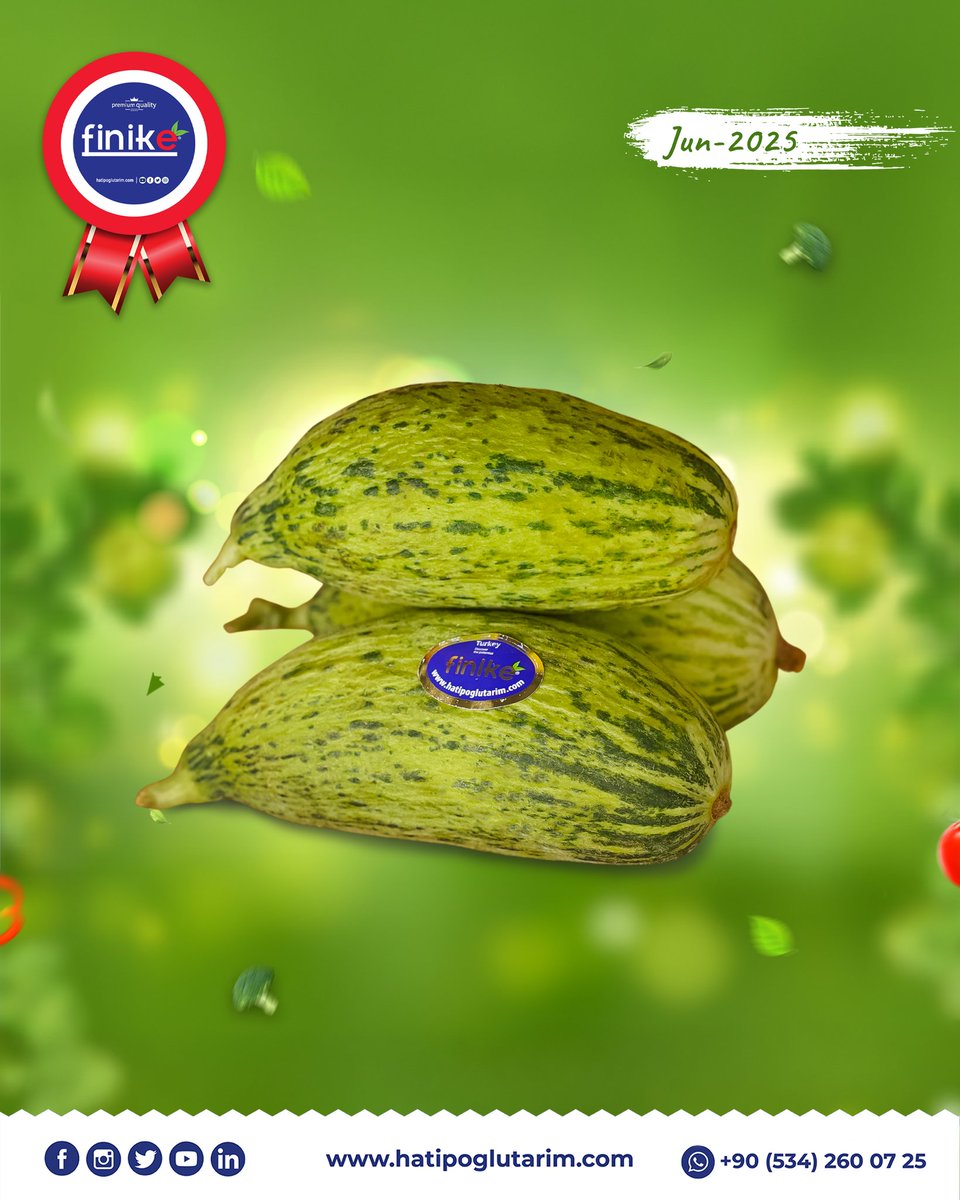 HatipogluTarim's tweet photo. 🌱 Standing out with its freshness!
Our demanded kelek (immature melon) product is carefully sorted and prepared for export.
Quality in every box, professionalism in every step. 🌍📦

With Hatipoğlu Tarım, experience reliable and sustainable supply solutions. https://t.co/STpHxj2S52