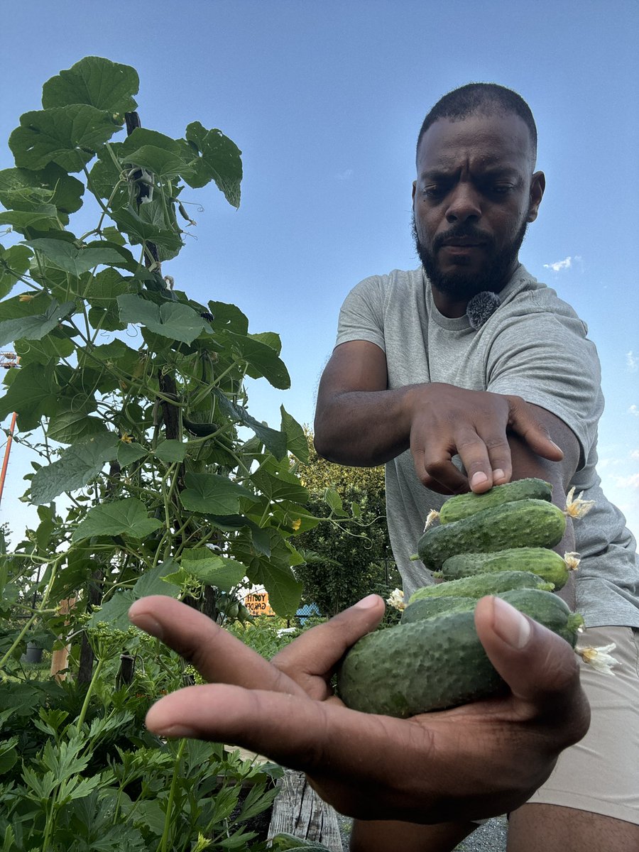 Address me as BIG Cuc 🥒from now on, never over the phone 😤😤