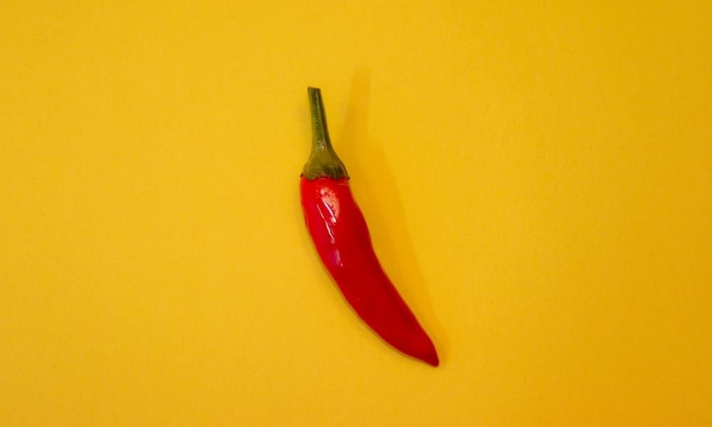 Chipotle’s AI hiring tool shows how tech can augment (not replace) human decision-making. A case study in ethical AI adoption.

ow.ly/gMYl50WmizL