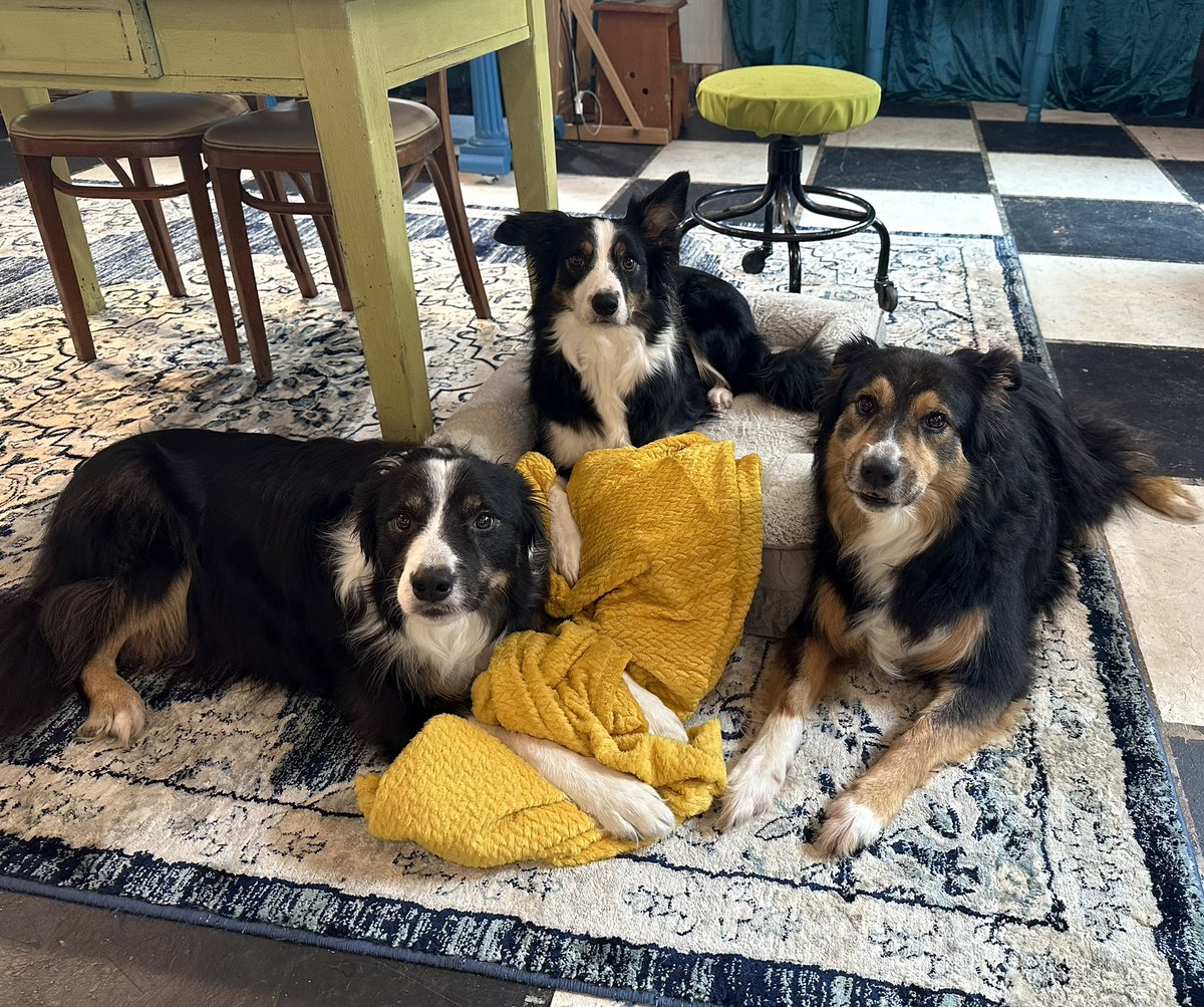 My good boys 🥹🥹🥹🥹