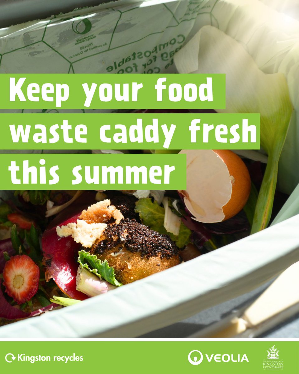 RBKingston's tweet image. Keep your food waste caddy fresh all summer long:
Store out of direct sunlight
Keep the lid closed
Line with newspaper or liners
Wait for hot food to cool first before disposal
Once @VeoliaUK collects, your food waste will be turned into compost to grow more food!#GreenerKingston