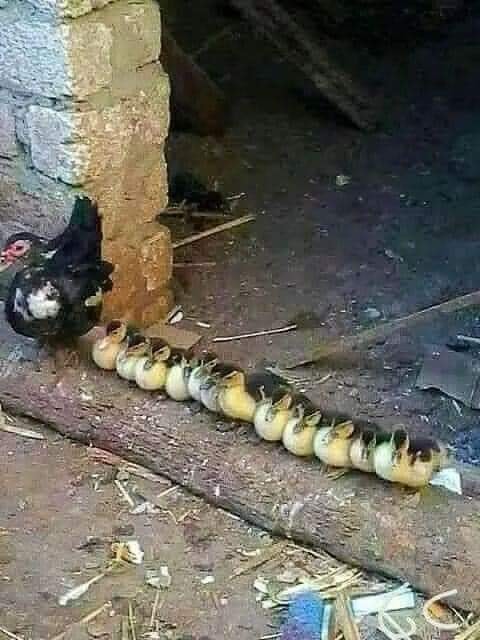 Get your book seen!
I have openings for a weeklong, book promotion and exclusive interview in July 2025 and beyond. 

More exposure is a good thing. Readers can't buy your book unless they see it. 

wordrefiner.com/promote-your-b…