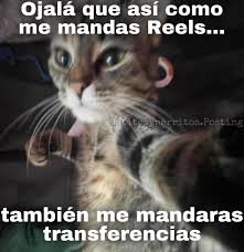 ᙃᥲᥒɩꙆo (@danijose69) on Twitter photo <a href="/Faz8Af/">leyenda</a> <a href="/carher0663/">⚔️ᴋᵃʳˡᵒˢʜᵉʀᵒᵈ👑⚔️</a> <a href="/WarriorDaih/">⚔️ Luniᵗ𝘈⚔️</a> <a href="/cano271201/">J.Cano 🇳🇮28K🇳🇮 #BestWarriorsTeam</a> <a href="/millo_moni/">MoniMILLO</a> <a href="/guwevara/">fario♐sagitario</a> <a href="/juanksparrow/">Juank Sparrow</a> <a href="/lunamendo9/">✨🍄🌹 OLY OLMEN ✨💓</a> <a href="/Angel24629683/">𝓜𝓲𝓰𝓾𝓮𝓵 𝓐𝓷𝓰𝓮𝓵 𝓙𝓻 </a> <a href="/Gomez7105/">🔱♠️♥️GOᗰEZ♥️♠️🔱</a> <a href="/tonysotelo61/">Maria Antonieta López 🪄</a> <a href="/Alexalvz12/">Alexandra</a> <a href="/CarlosRjs10/">𝐂𝐀𝐑𝐋𝐎𝐒 𝐑.</a> <a href="/ELISA5781/">EᒪIՏᗩ 🤍🩷</a> <a href="/Nacho0662/">Ignacio</a> <a href="/LeandroJesus22/">Leandro 📍</a> #MemeMartes
𝐷inamica Warriors
Comparte tu mejor meme
@ tus amigos y diviértete
<a href="/Romi_Warrior/">༆ᴿᵒᵐⁱⁿᵃ</a>
<a href="/GigaKarlos/">⚜️🎶KᴀʀʟᴏsHᴇRᴏᴅ18K⚜️</a>
<a href="/Tweet_luther/">🇷🇺🅐︎🅝︎🅖︎🅔︎🅛︎ 🅛︎🅤︎🅣︎🅗︎🅔︎🅡︎🇷🇺</a>
<a href="/CrazyGirlSque7/">❥ 乃€ℓє𝐍 ʚ🤍ɞ 👩🏼💻🌻 💙💛💙 ㋡</a>
<a href="/contactoverona/">Verona Rava</a>
<a href="/2015Suheyla/">Süheyla</a>
<a href="/irma_pintos/">Irma Pintos</a>
<a href="/germn_jj2/">༺ℊℯ𝓇𝓂𝓃 𝒿𝒽ℴ𝓃𝓈²²</a>
<a href="/Hansservin88/">Hans servin ledezma 🇲🇽</a>
<a href="/goleador_/">Avenger</a>
<a href="/Nacho0662/">Ignacio</a>
<a href="/ElderAcost/">ELDER AC✪STA 📚23ʸʳˢ⚽️</a>
<a href="/teck_vicky41852/">Vicky teck</a> <a href="/Faz8Af/">leyenda</a> <a href="/carher0663/">⚔️ᴋᵃʳˡᵒˢʜᵉʀᵒᵈ👑⚔️</a> <a href="/WarriorDaih/">⚔️ Luniᵗ𝘈⚔️</a> <a href="/cano271201/">J.Cano 🇳🇮28K🇳🇮 #BestWarriorsTeam</a> <a href="/millo_moni/">MoniMILLO</a> <a href="/guwevara/">fario♐sagitario</a> <a href="/juanksparrow/">Juank Sparrow</a> <a href="/lunamendo9/">✨🍄🌹 OLY OLMEN ✨💓</a> <a href="/Angel24629683/">𝓜𝓲𝓰𝓾𝓮𝓵 𝓐𝓷𝓰𝓮𝓵 𝓙𝓻 </a> <a href="/Gomez7105/">🔱♠️♥️GOᗰEZ♥️♠️🔱</a> <a href="/tonysotelo61/">Maria Antonieta López 🪄</a> <a href="/Alexalvz12/">Alexandra</a> <a href="/CarlosRjs10/">𝐂𝐀𝐑𝐋𝐎𝐒 𝐑.</a> <a href="/ELISA5781/">EᒪIՏᗩ 🤍🩷</a> <a href="/Nacho0662/">Ignacio</a> <a href="/LeandroJesus22/">Leandro 📍</a> #MemeMartes
𝐷inamica Warriors
Comparte tu mejor meme
@ tus amigos y diviértete
<a href="/Romi_Warrior/">༆ᴿᵒᵐⁱⁿᵃ</a>
<a href="/GigaKarlos/">⚜️🎶KᴀʀʟᴏsHᴇRᴏᴅ18K⚜️</a>
<a href="/Tweet_luther/">🇷🇺🅐︎🅝︎🅖︎🅔︎🅛︎ 🅛︎🅤︎🅣︎🅗︎🅔︎🅡︎🇷🇺</a>
<a href="/CrazyGirlSque7/">❥ 乃€ℓє𝐍 ʚ🤍ɞ 👩🏼💻🌻 💙💛💙 ㋡</a>
<a href="/contactoverona/">Verona Rava</a>
<a href="/2015Suheyla/">Süheyla</a>
<a href="/irma_pintos/">Irma Pintos</a>
<a href="/germn_jj2/">༺ℊℯ𝓇𝓂𝓃 𝒿𝒽ℴ𝓃𝓈²²</a>
<a href="/Hansservin88/">Hans servin ledezma 🇲🇽</a>
<a href="/goleador_/">Avenger</a>
<a href="/Nacho0662/">Ignacio</a>
<a href="/ElderAcost/">ELDER AC✪STA 📚23ʸʳˢ⚽️</a>
<a href="/teck_vicky41852/">Vicky teck</a>