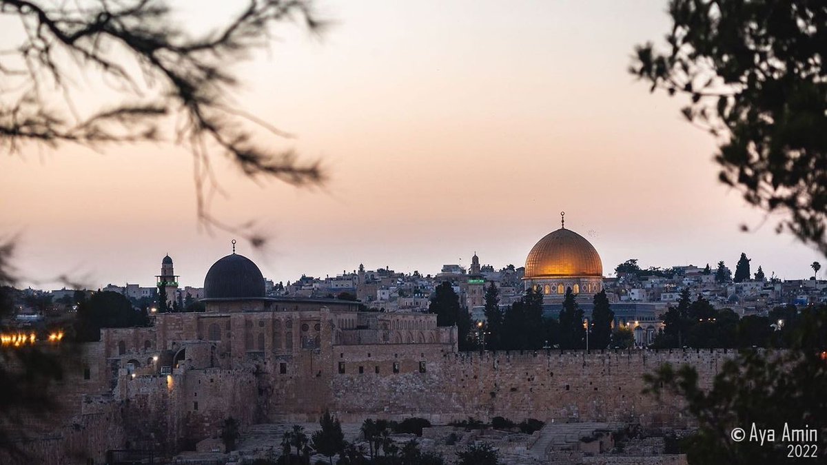 Gitmek gelir içimden,
İnsanların sustuğu,
Ama taşların bir o kadar konuştuğu o şehre...🌾