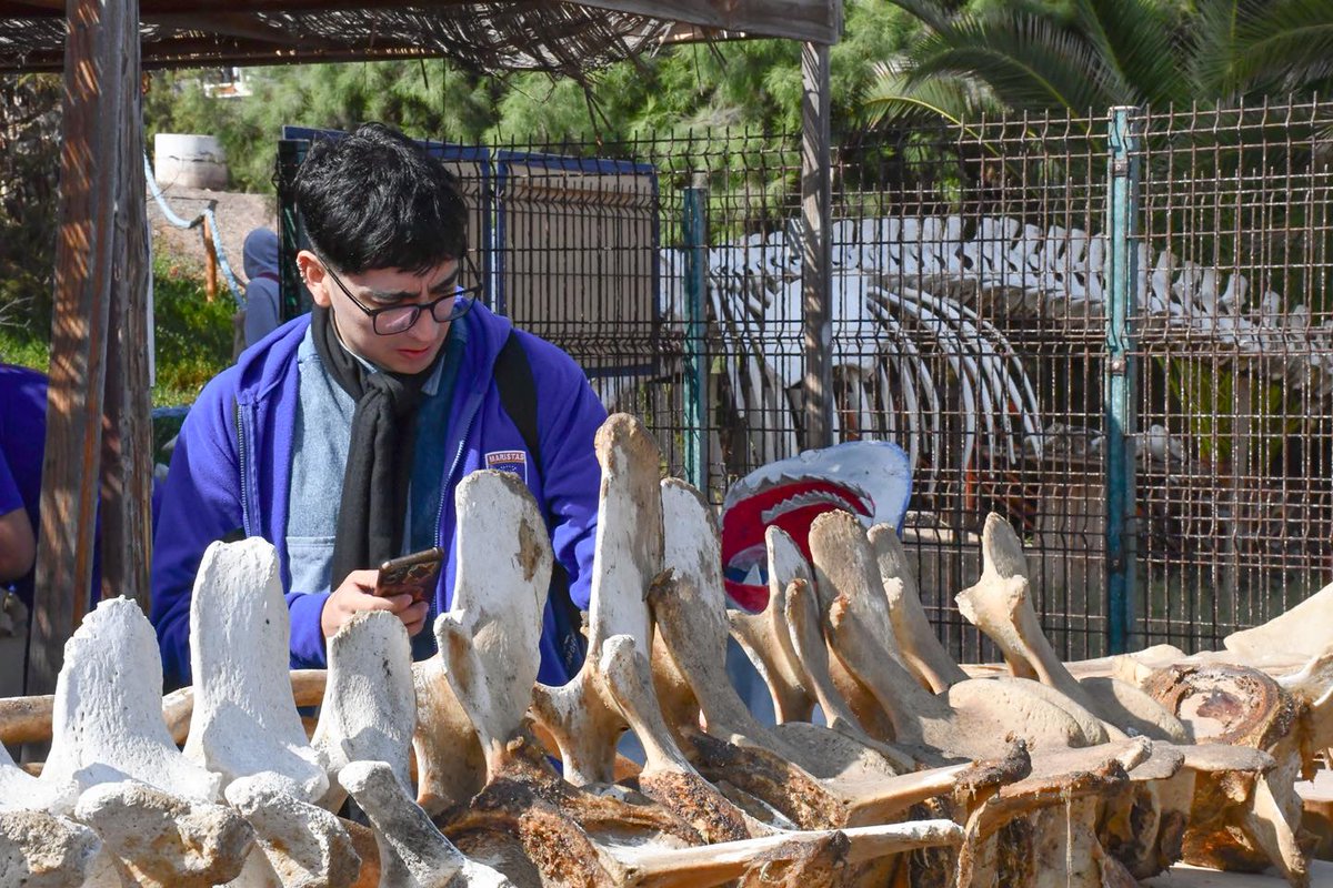 PAR EXPLORA Tarapacá 🚀 tweet media