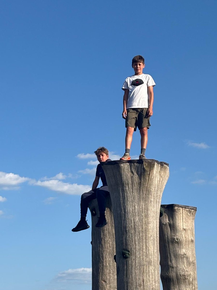 Chigwell Primary tweet media