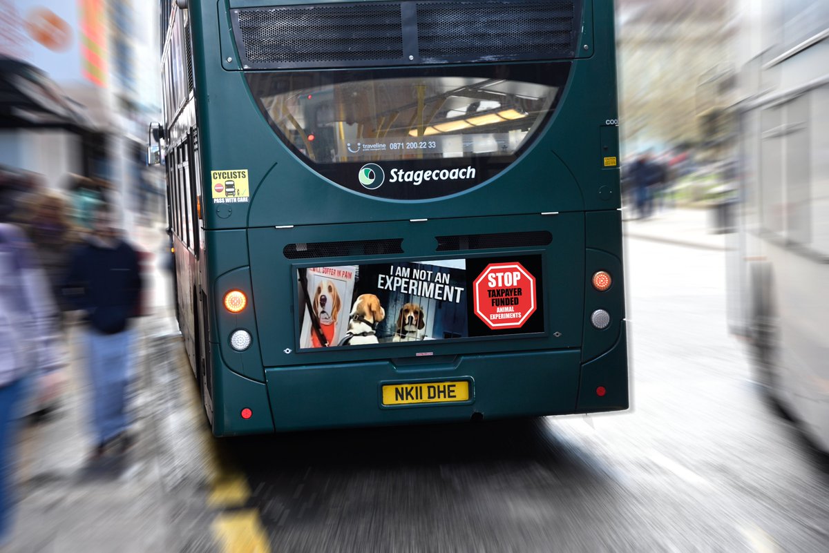 shazstratford64's tweet image. This time last year we did this ....... We showed the tax payers of London how their hard earned taxes were being wasted......
So now as Leonard Cohen would say 'Everybody Knows' !!