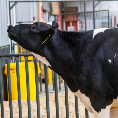 Arizona State Fair tweet media