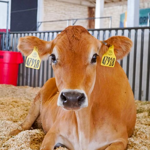 Arizona State Fair tweet media