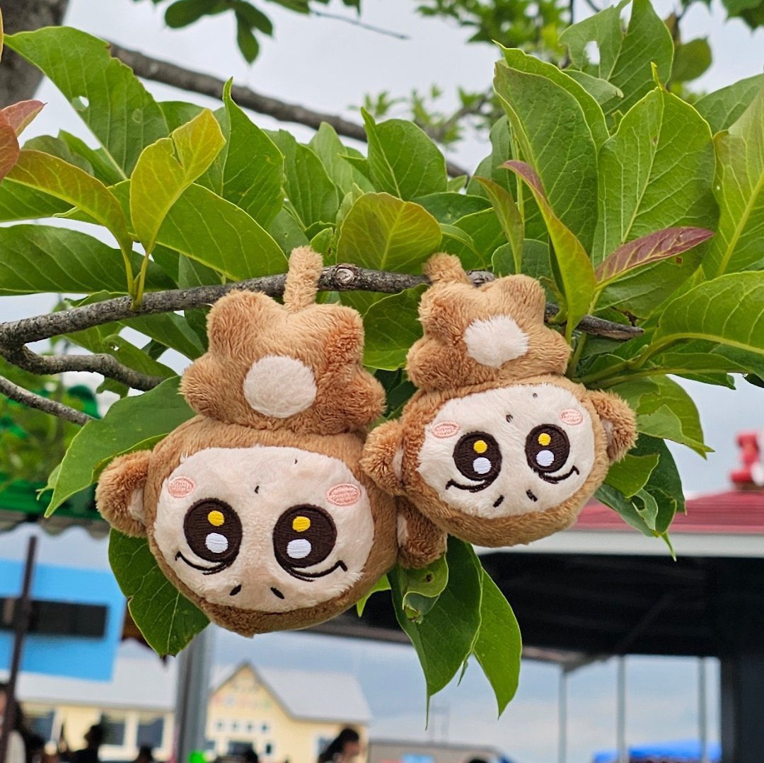 cherrybaski's tweet photo. 🇦🇺AUS / NZ 🇳🇿 GO  ✜ ship ww 
✜ Enhypen Jungwon doll jungsungie
🍼10cm/7cm doll + keyring ~ $18 usd / $28.90 aud

⏰ 23 JULY, AEST

🔗: https://t.co/7zfkpqQJKa

#ENHYPEN #JUNGWON 엔하이픈 정원 쩡숭이 끼끼쩡 wts sell group order https://t.co/fkTIzxrNwl