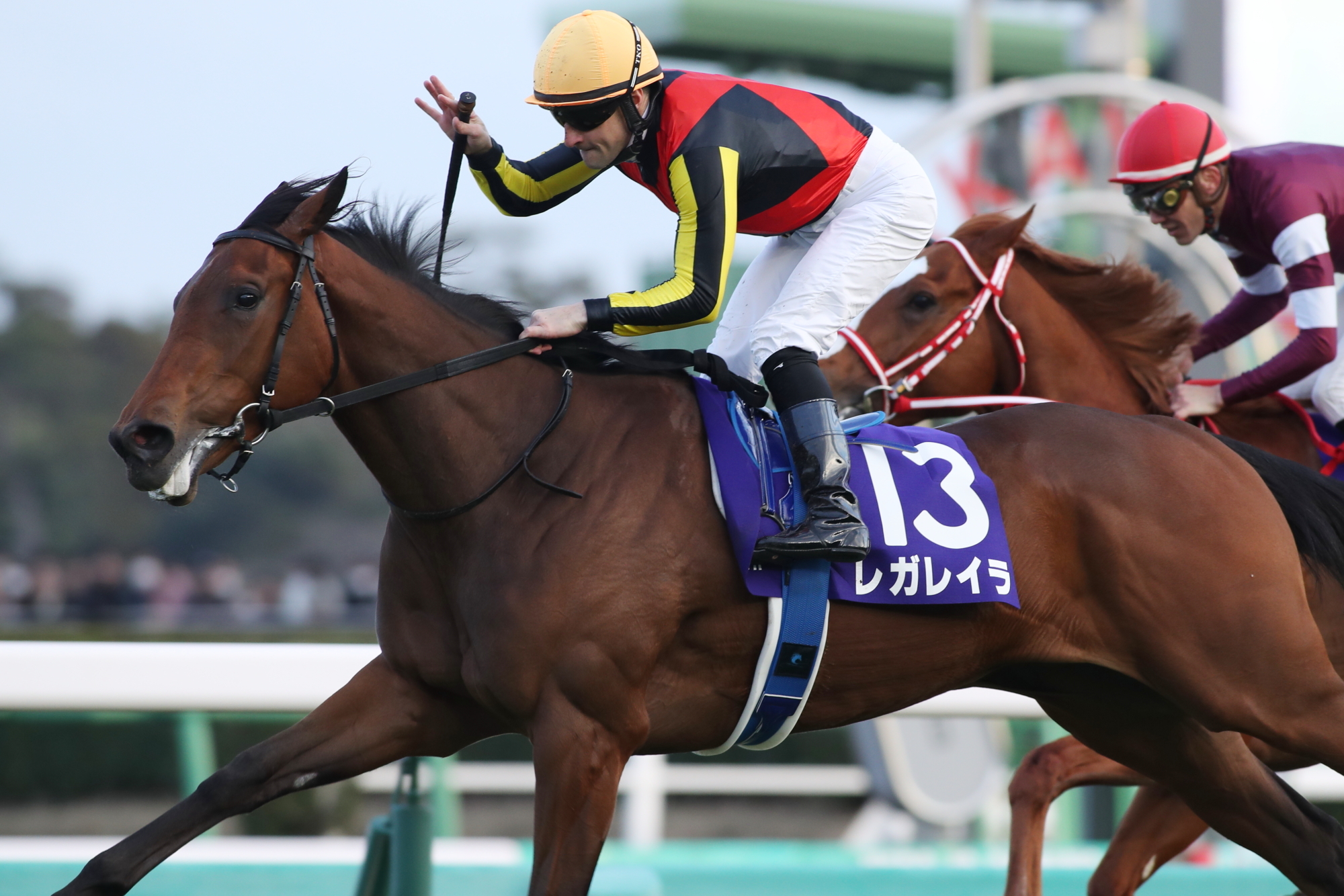 JRAポスター　　レガレイラ Yahoo!オークション -「JRA ポスター」の落札相場・落札価格