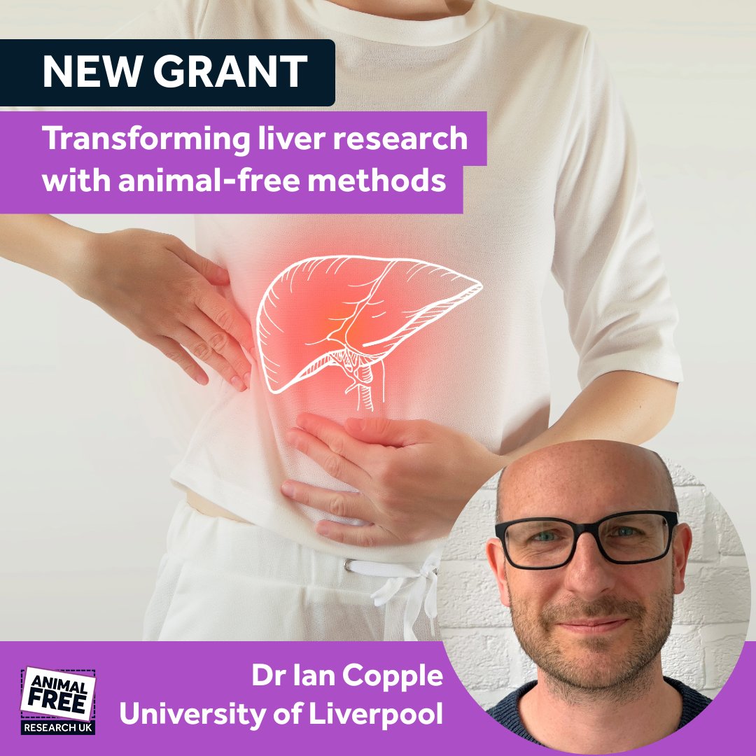 AFR_UK's tweet image. Animals to be replaced: Cows 🐄
Prof Ian Copple @LivUni is developing better ways to grow human liver cells without using foetal calf serum – a problematic ingredient used in labs worldwide.
animalfreeresearchuk.org/project/transf…
#KinderScience #BrighterFuture
