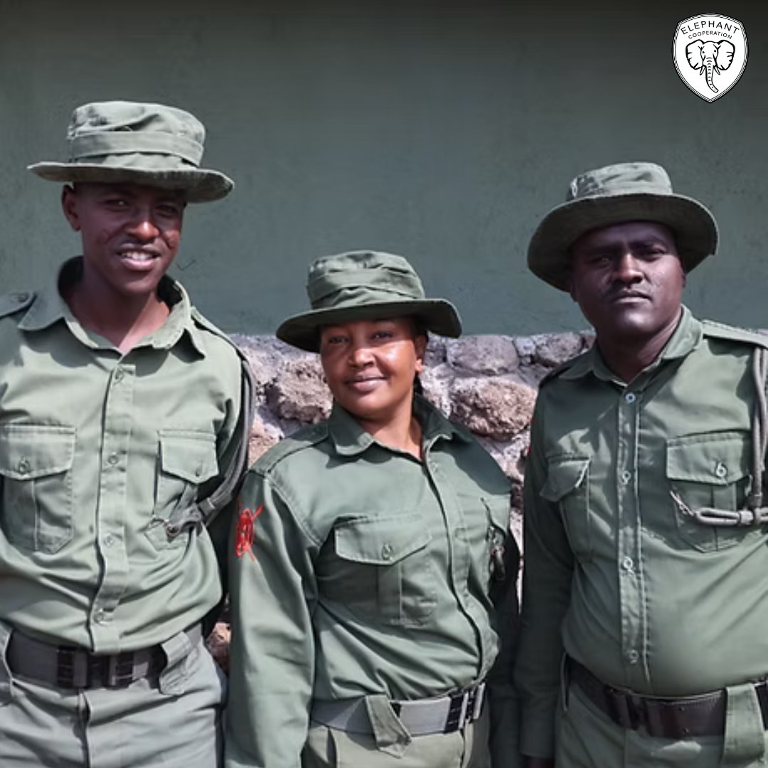 ElephantCoop's tweet image. 🛡️ Rangers are the first line of defense for Africa’s elephants.
With advanced training and gear, they risk their lives to stop poaching and protect wildlife.
Support keeps them safe—and conservation moving.
#CooperateToCoexist #Elephants #WildlifeProtection #RangerSupport