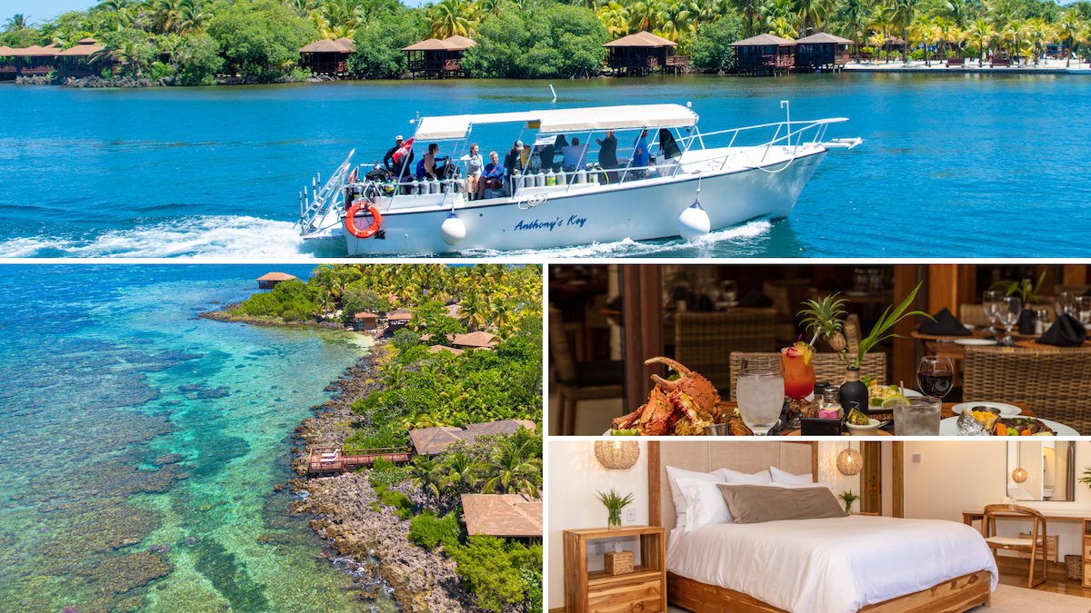 Buy 1, get 1 50% off 🌴
Travel Aug 30–Dec 20, 2025
3rd &amp; 4th guests save 30%
Ends July 31 ⏳
#Roatan #BOGOdeal #FallTravel
🎟️  - mailchi.mp/anthonyskey.co…