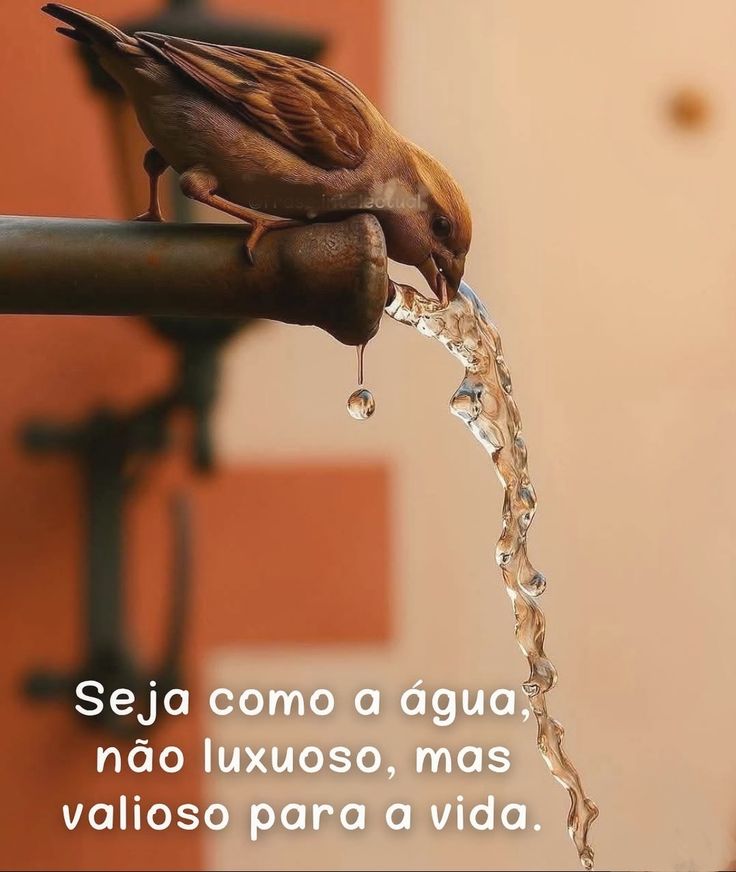cristaassis's tweet photo. https://t.co/nqs4dF49tR