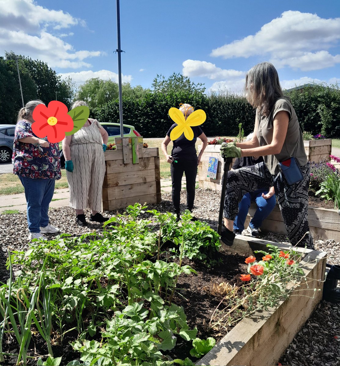 Bright and Sunny at Team Hub CIC today. 
Come and take part in our Free Workshop on Microgreens &amp; Sprouting, this Thursday 10th July at the Chatterbox group at 10am at Team Hub Community Centre, St Oswald Road, LE3 6RJ