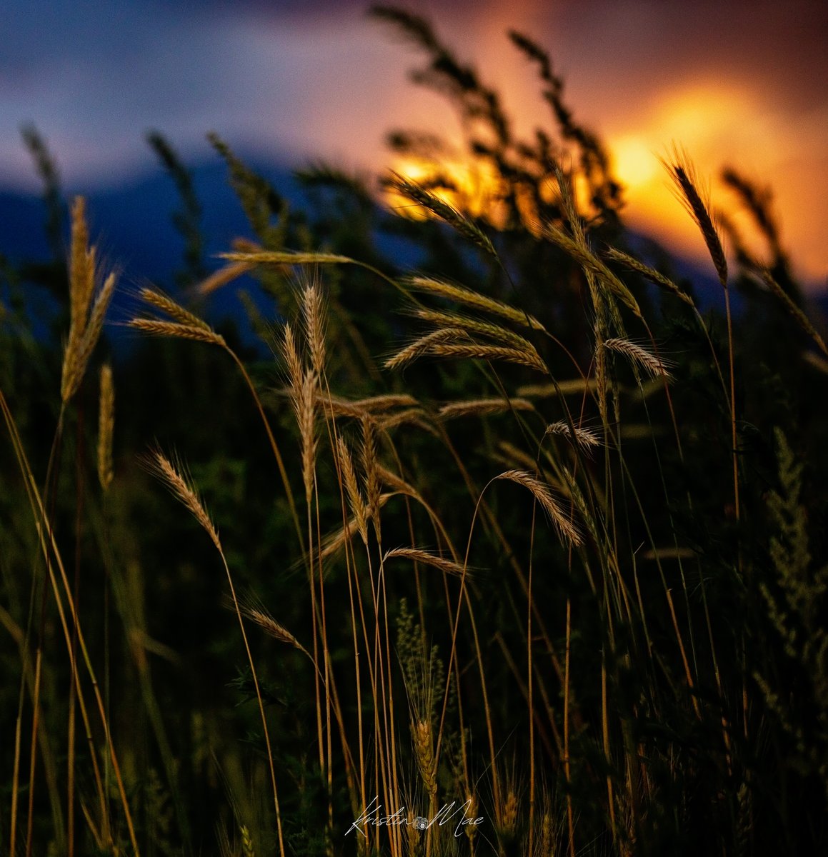 Being in a funk is normal. We're human, but, the longer we stay in that funk, and the deeper we go, the harder it is for us to climb out. To rise above it, find that thing that brings you back to your flow state. That thing that allows you to completely immerse yourself in your