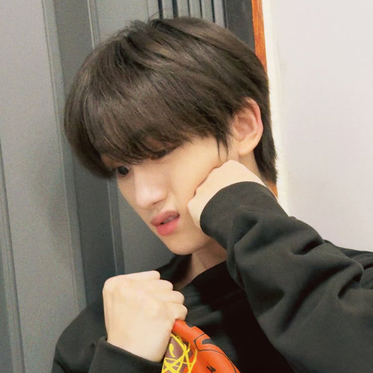 อันดับ 1 แมวแจ้มอ้นนุ่มฟูที่สุดในโลก
.
.
.
.
.
.
🤜🏻🐱🍞🤛🏻