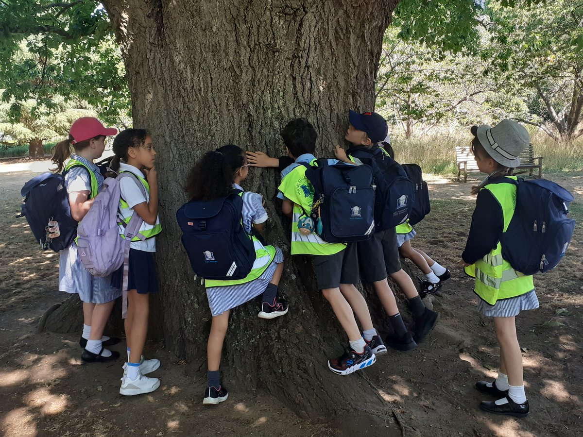 West London Free School Primary (@wlfsprimary) on Twitter photo Year 3 Beethoven attended an excellent workshop about plant scientists at Kew Gardens. They explored a variety of plants and also created their own botanical drawings. They went inside the Palm House and Temperate House and explored the Treetop Walkway! Year 3 Beethoven attended an excellent workshop about plant scientists at Kew Gardens. They explored a variety of plants and also created their own botanical drawings. They went inside the Palm House and Temperate House and explored the Treetop Walkway!