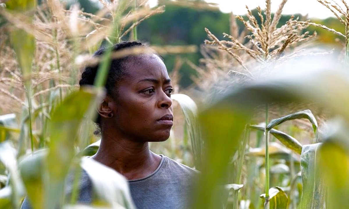 More movie talk on CBC Radio! Carsten Knox reviews 40 Acres, Jurassic World Rebirth, and more, on The Knox Office:

halifaxbloggers.ca/flawintheiris/…

#moviereview #theknoxoffice <a href="/FlawInTheIris/">Flaw In The Iris</a> <a href="/cbcradio/">CBC Radio</a>