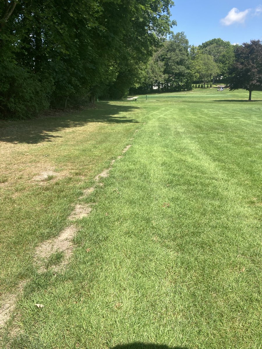 David Golembeski (@fdturf) on Twitter photo The beginning stages of starting to notice a difference from root pruning this spring at NCC with a <a href="/ventrac/">Ventrac Tractors</a> trencher attachment. The beginning stages of starting to notice a difference from root pruning this spring at NCC with a <a href="/ventrac/">Ventrac Tractors</a> trencher attachment.